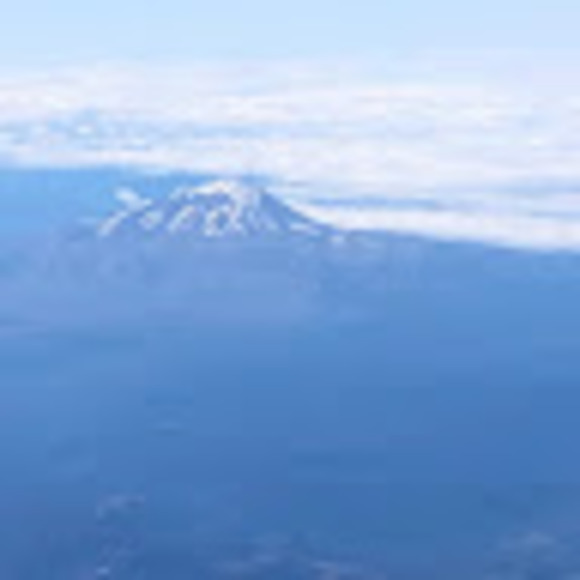 Meet your Posher, Iris - Picture 1 of 1